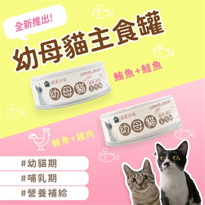 Pboss 寵愛汪喵幼母貓主食罐
